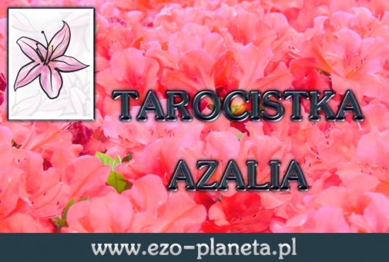 Wróżka Tarocistka Azalia Wróżby 24h